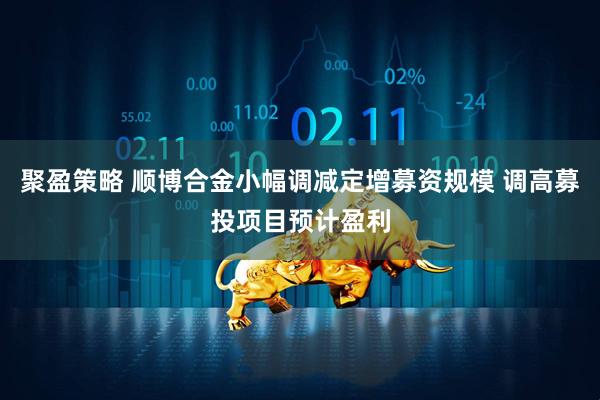 聚盈策略 顺博合金小幅调减定增募资规模 调高募投项目预计盈利